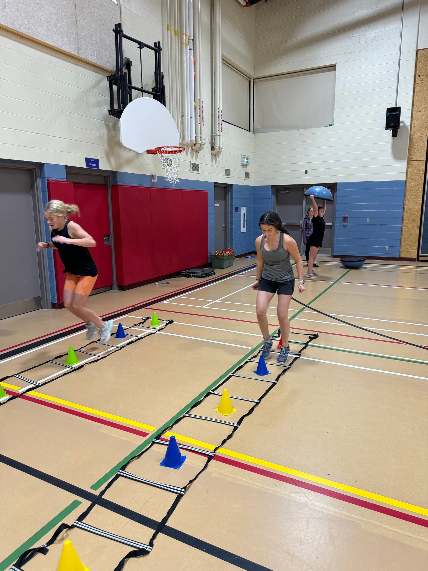 Athletes run circuits in a school gym as part of winter training.